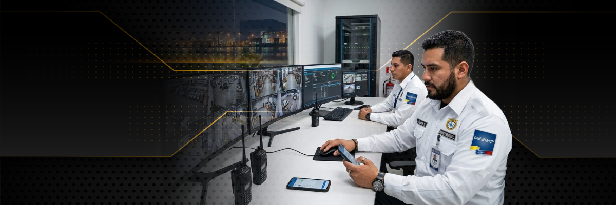 Seguridad Electrónica (CCTV)